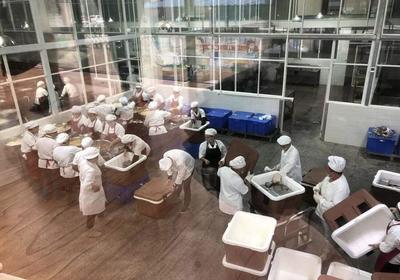廣州番禺中央廚房集體配餐中心正式啟航，開啟餐飲管理新篇章
